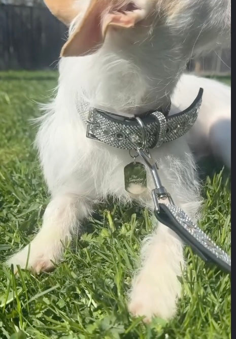 Jacqueline Kent Diamonds In The Ruff Dog Collar Silver Rhinestones