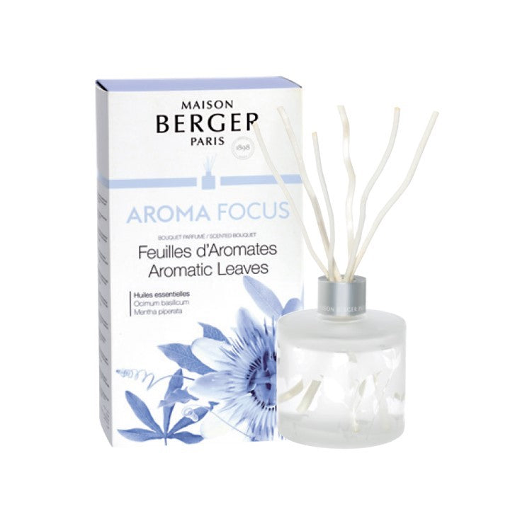 Reed Diffuser Aromatherapy - Focus