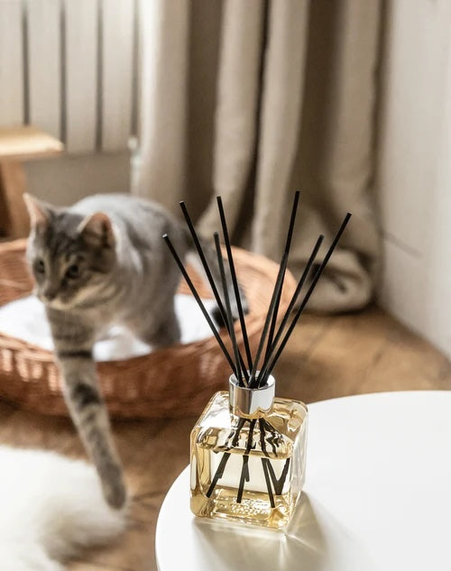 Patented Reed diffuser fragrance and reed diffuser that neutralizes unwanted pet odours 
