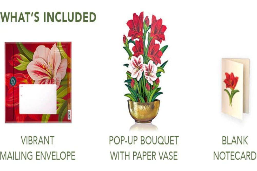 Pop Up Flower Bouquet Greeting Card -Scarlet Amaryllis