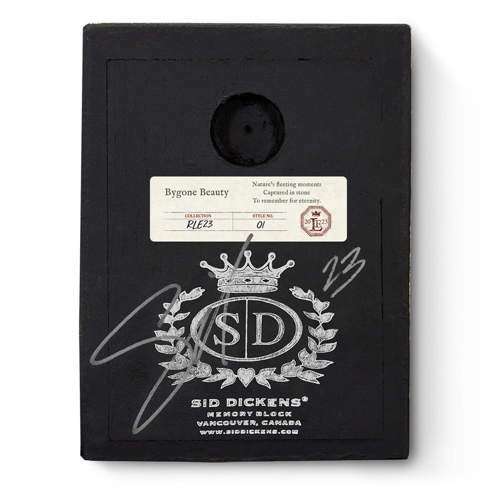 RLE 23-01 Bygone Beauty Retired & Signed Sid Dickens Limited Ed. Signed Memory Block Back