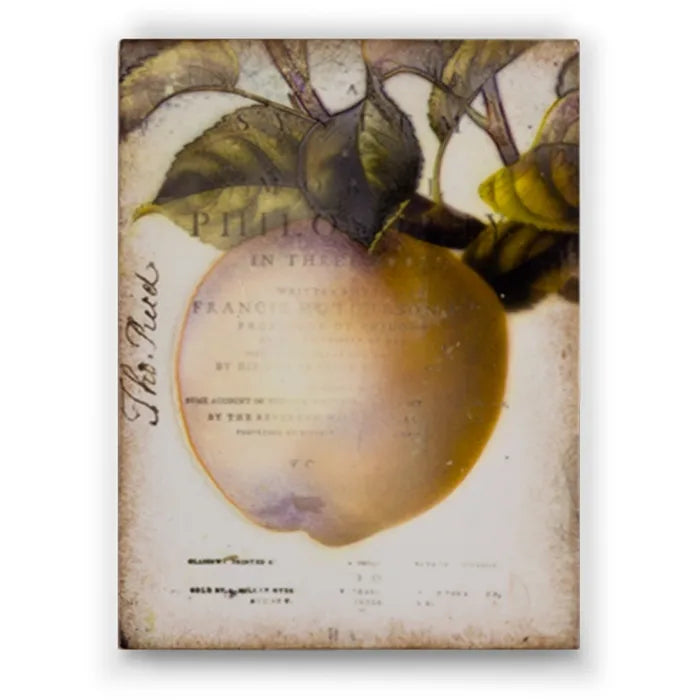 T 280 Golden Apple-RETIRED Sid Dickens Memory Block