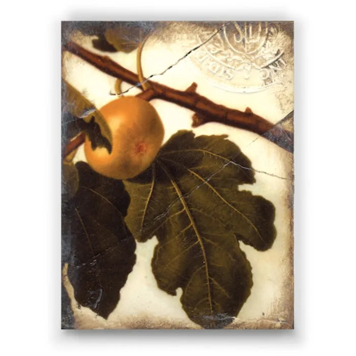 T 105 Golden Fig- RETIRED Sid Dickens Memory Block