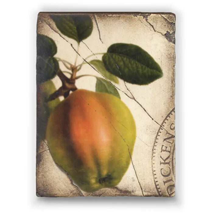 T 131 Aphrodite's Apple Retired Sid Dickens Memory Block