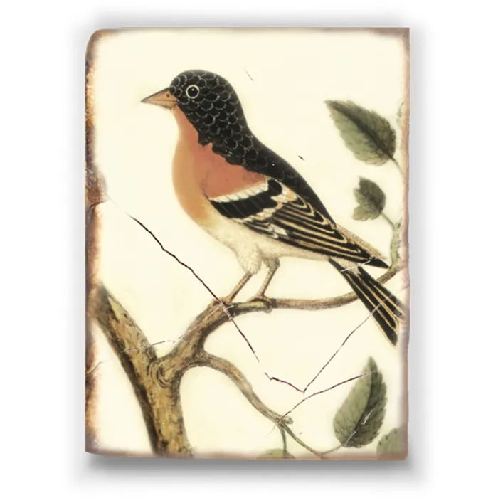 T 152 Crimson Bird Retired Sid Dickens Memory Block