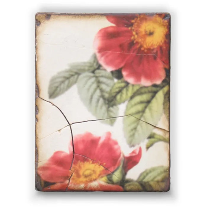 T 172 Vicenne's Roses Retired Sid Dickens Memory Block