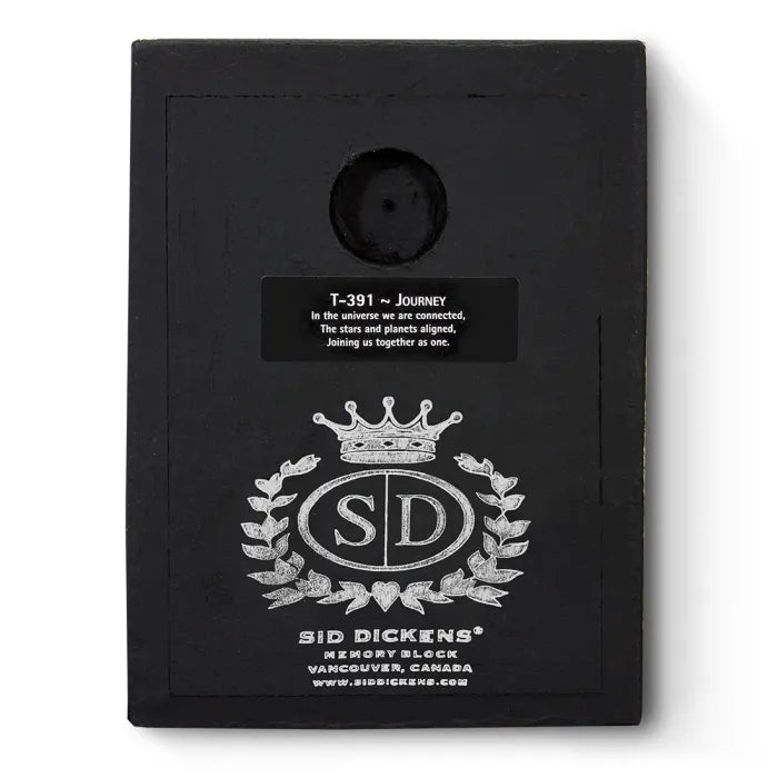 T 391 Journey - RETIRED Sid Dickens Memory Block