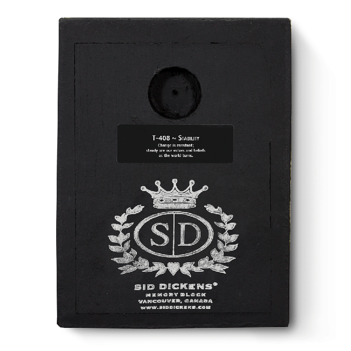 T 408 Stability - RETIRED Sid Dickens Memory Block
