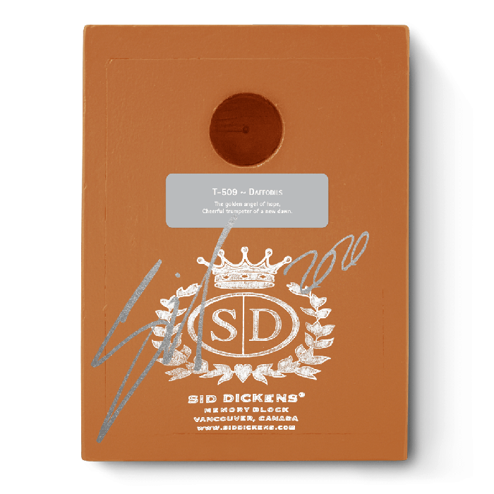 T 509 Daffodils (Orange) - RETIRED & SIGNED Sid Dickens Memory Block
