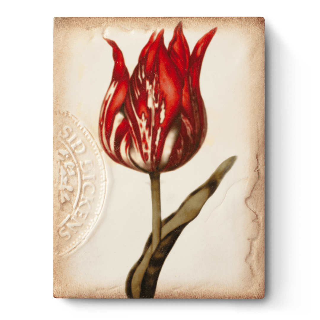 T 98 Scarlet - RETIRED & Signed Sid Dickens Memory Block