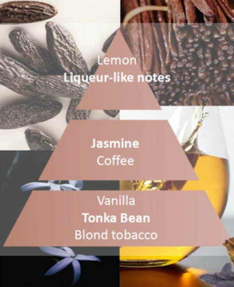 Trio Pack - Holly Lampe Berger Refills