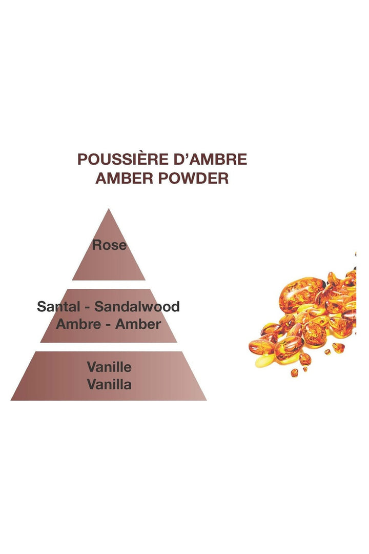 Maison Berger Lampe Berger refill home fragrance scent profile – Amber Powder – warm and spicy fragrance, showing top, heart and base notes.
