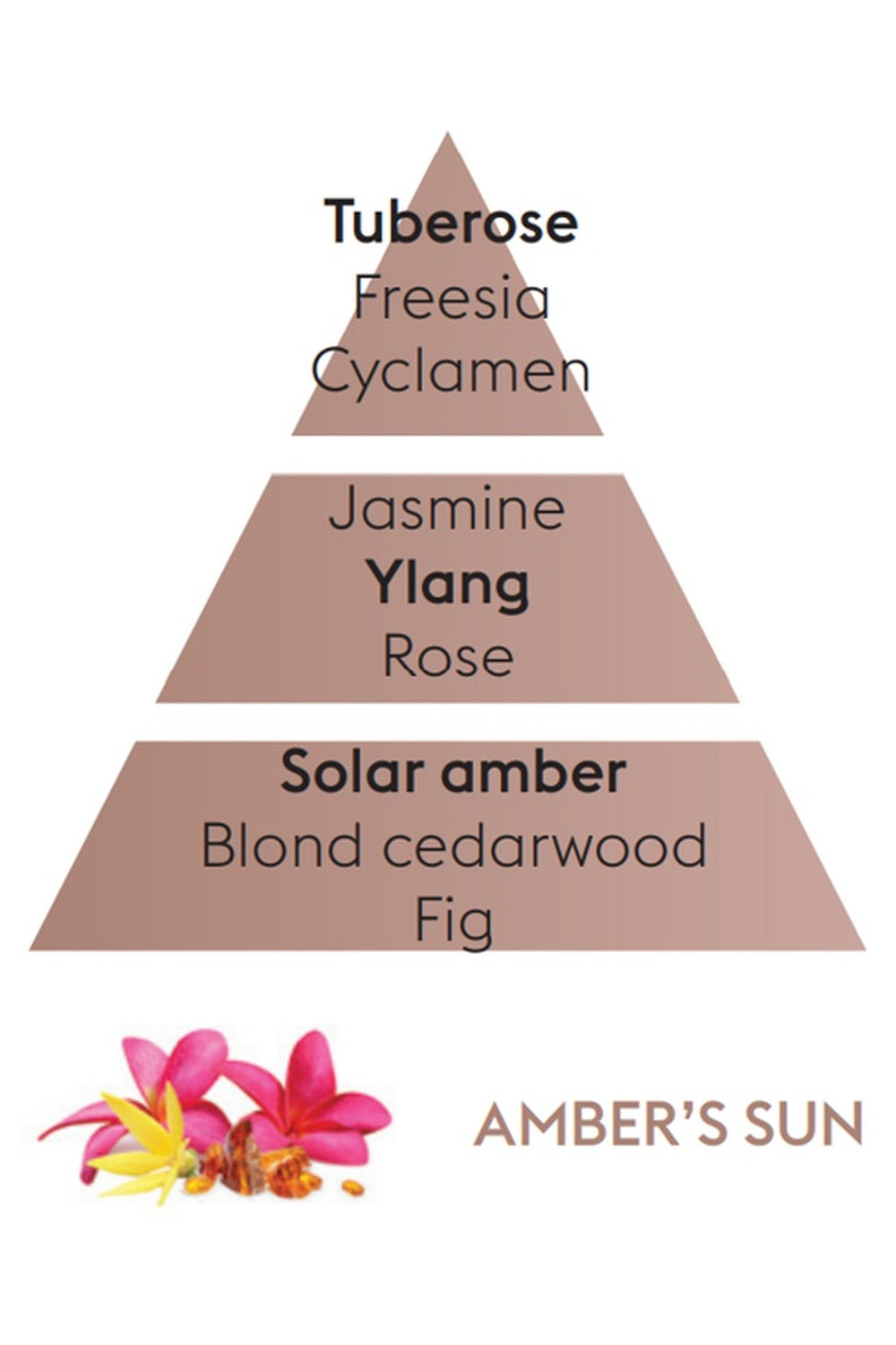 Maison Berger Lampe Berger refill home fragrance scent profile – Amber Sun – warm and spicy fragrance, showing top, heart and base notes.
