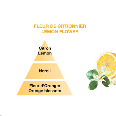Lemon Flower - Car Diffuser Refills