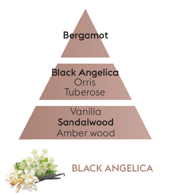 Black Angelica Lampe Berger Refill