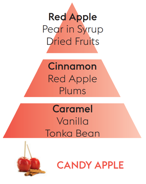 Reed Diffuser Refill - Candy Apple
