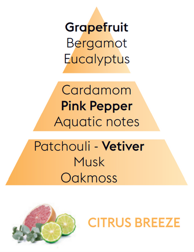 Reed Diffuser Refill - Citrus Breeze