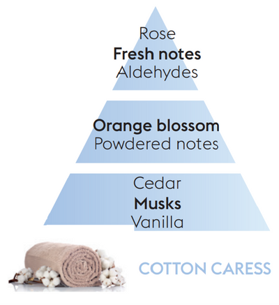 Cotton Caress - Car Diffuser Refills