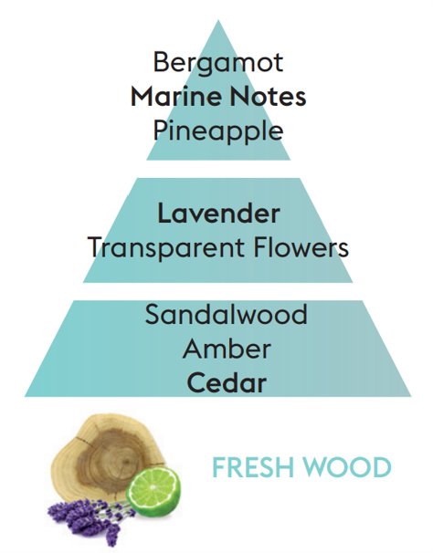 Scent profile Maison Berger Fresh Wood Lampe Berger Refill