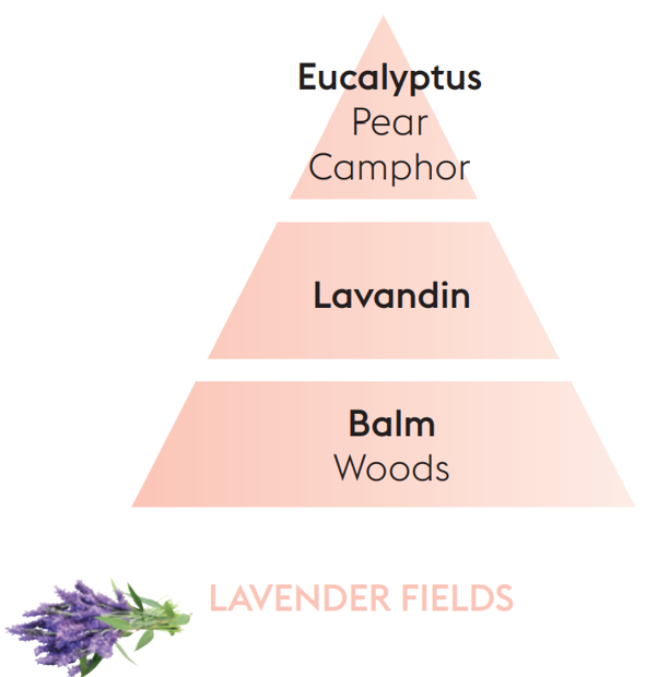 Lavender Fields Lampe Berger Refill