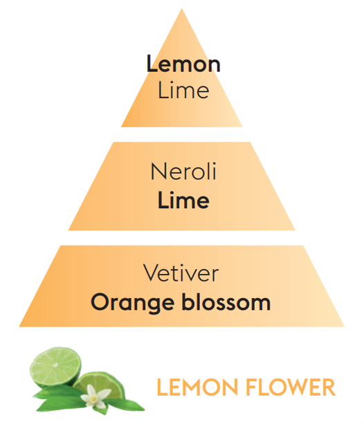 Lemon Flower Lampe Berger Refill