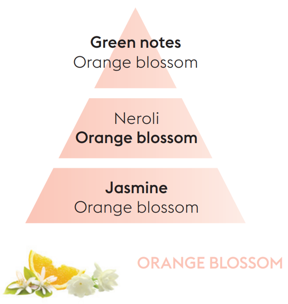 Orange Blossom Lampe Berger Refill