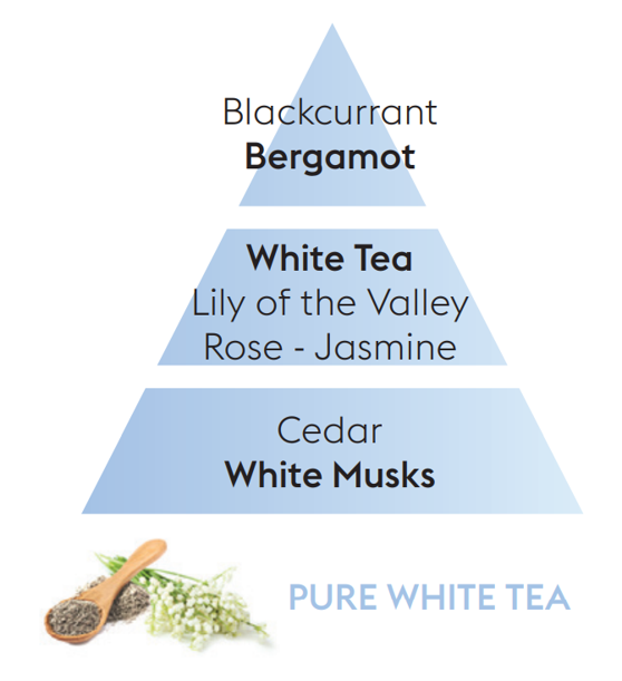 Pure White Tea Lampe Berger Refill
