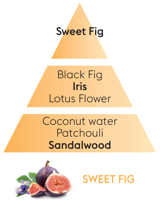 Reed Diffuser Refill - Sweet Fig