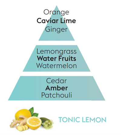 Tonic Lemon Lampe Berger Refill
