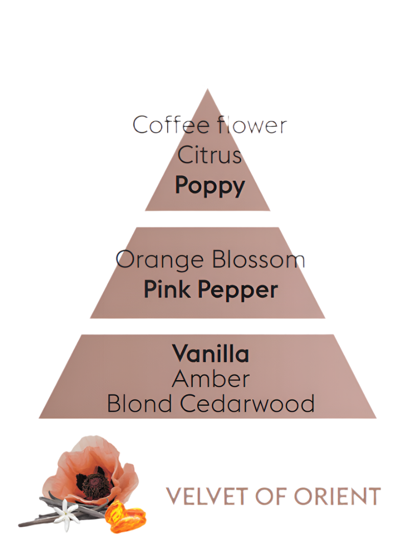 Velvet of Orient Scent Pyramid, Maison Berger home fragrance