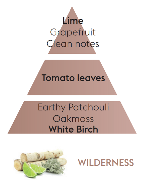 Reed Diffuser Refill - Wilderness