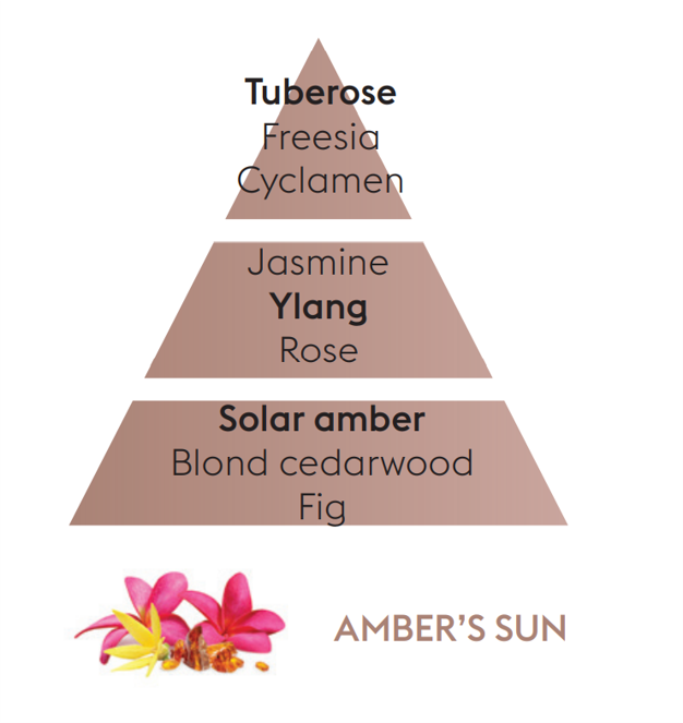 Reed Diffuser Refill - Amber's Sun