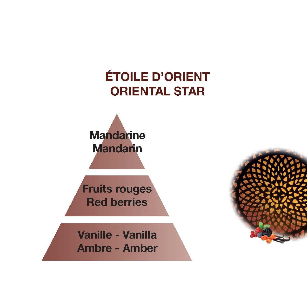 Oriental Star - Car Diffuser Refills