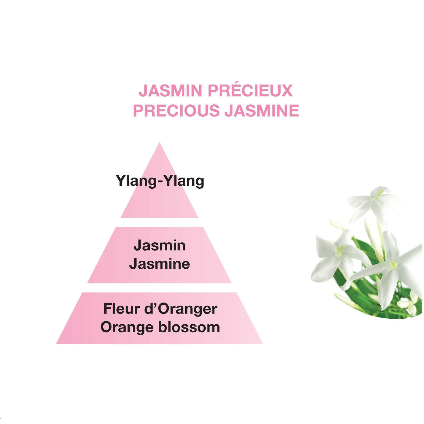 Precious Jasmine - Car Diffuser Refills
