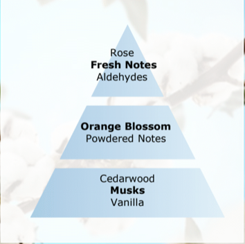 Facette Reed Diffuser Cotton Caress (Gift Set) - Black