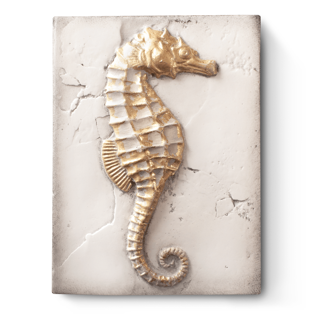 T 281 Ocean's Gift Sid Dickens Memory Block