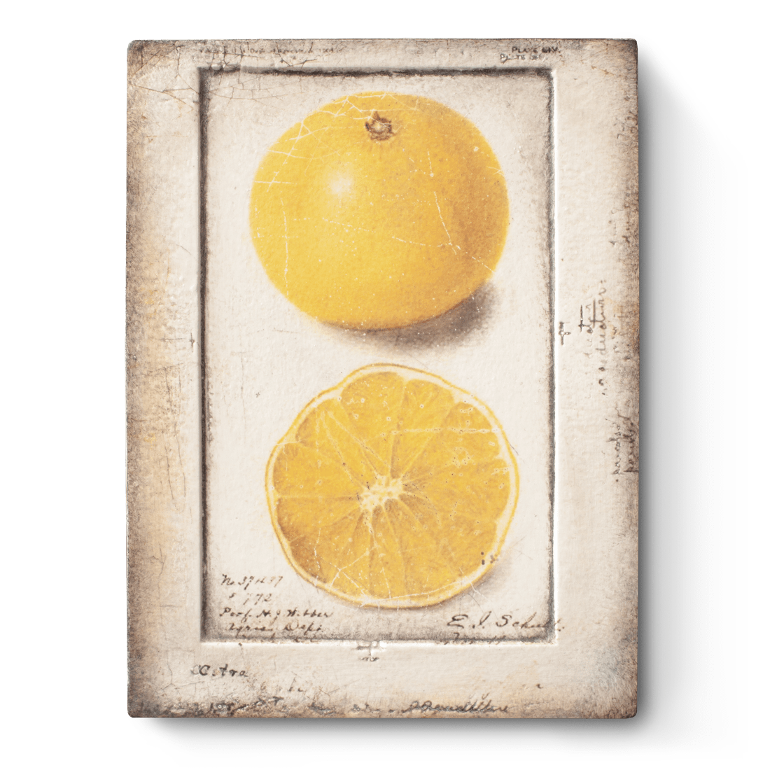 T 371 Citron - RETIRED Sid Dickens Memory Block