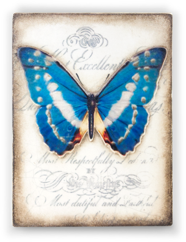 T 373 Metamorphosis Sid Dickens Memory Block