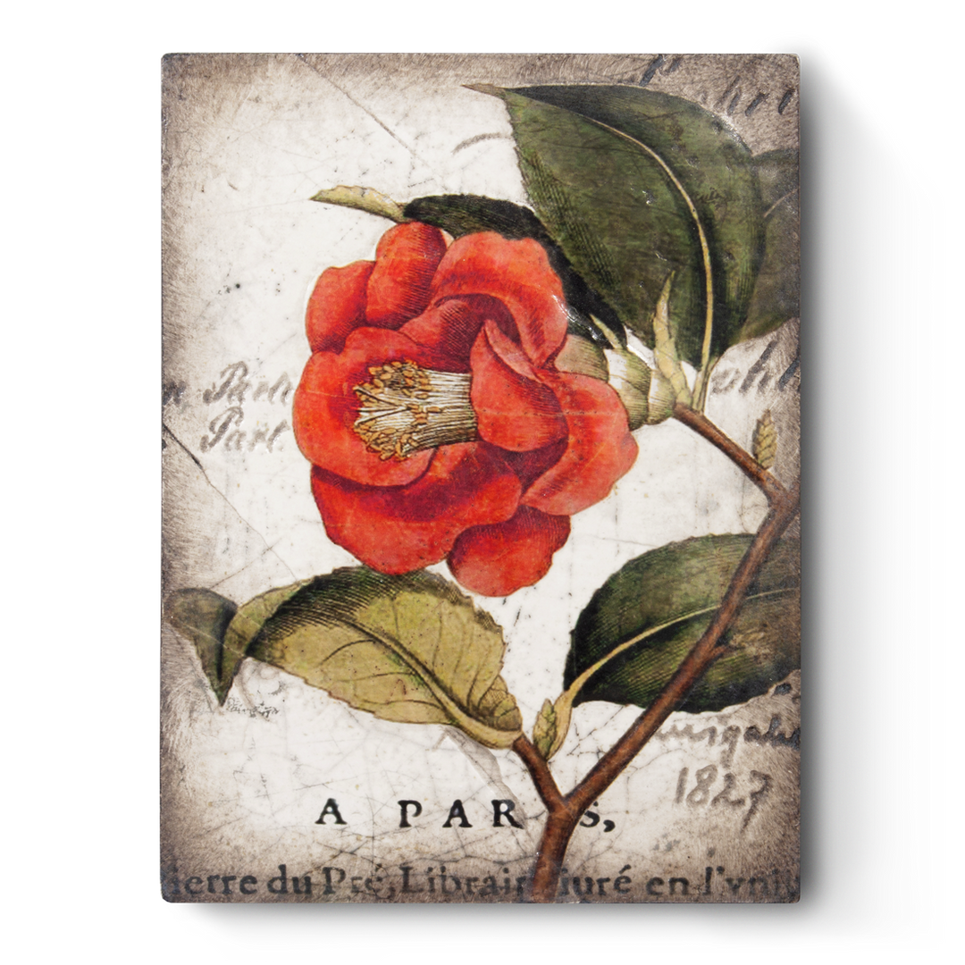 T 404 Red Camellia - RETIRED Sid Dickens Memory Block