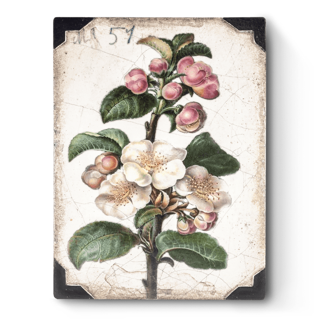 T 462 Apple Blossom - RETIRED Sid Dickens Memory Block