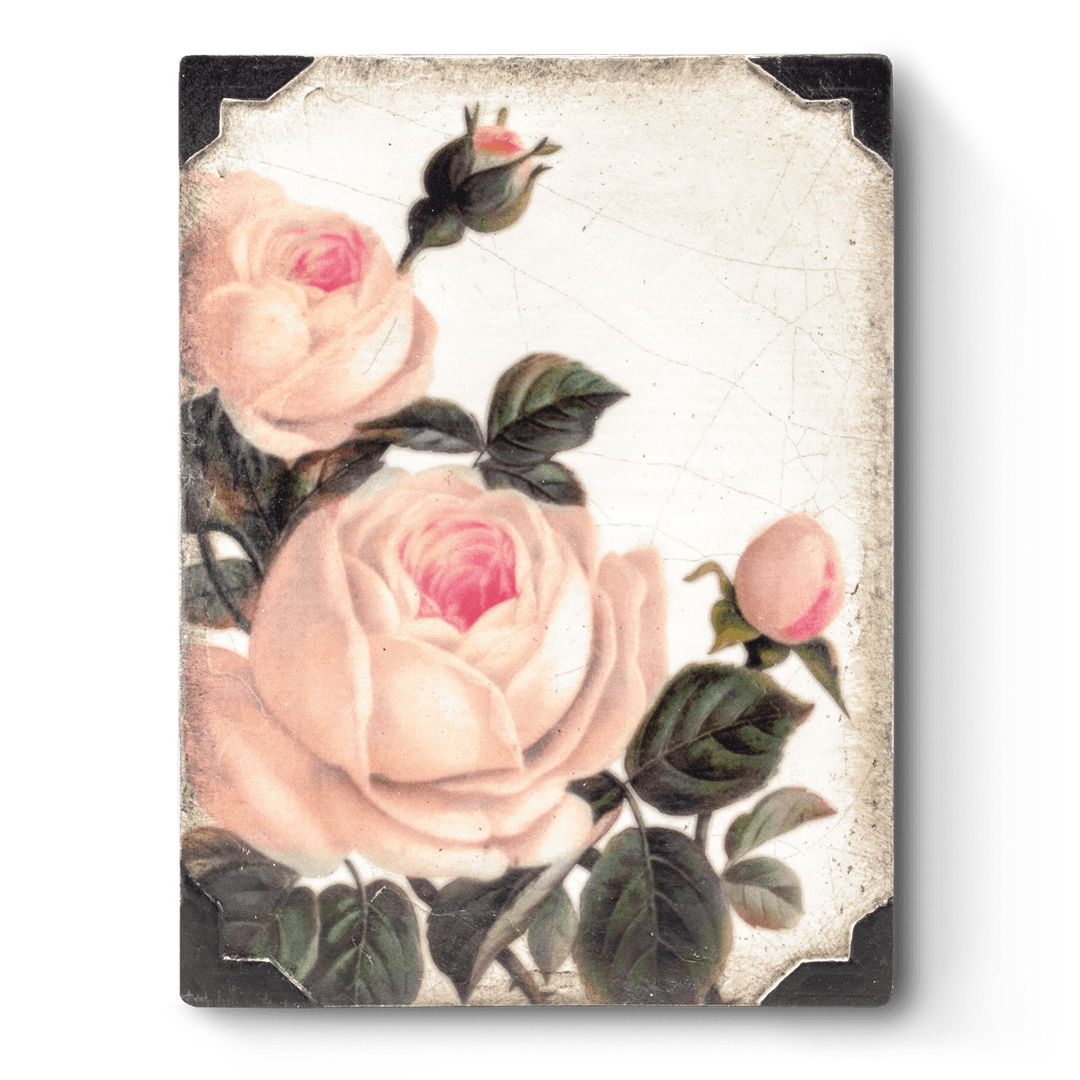 T 464 Gentle Rose RETIRED Sid Dickens Memory Block