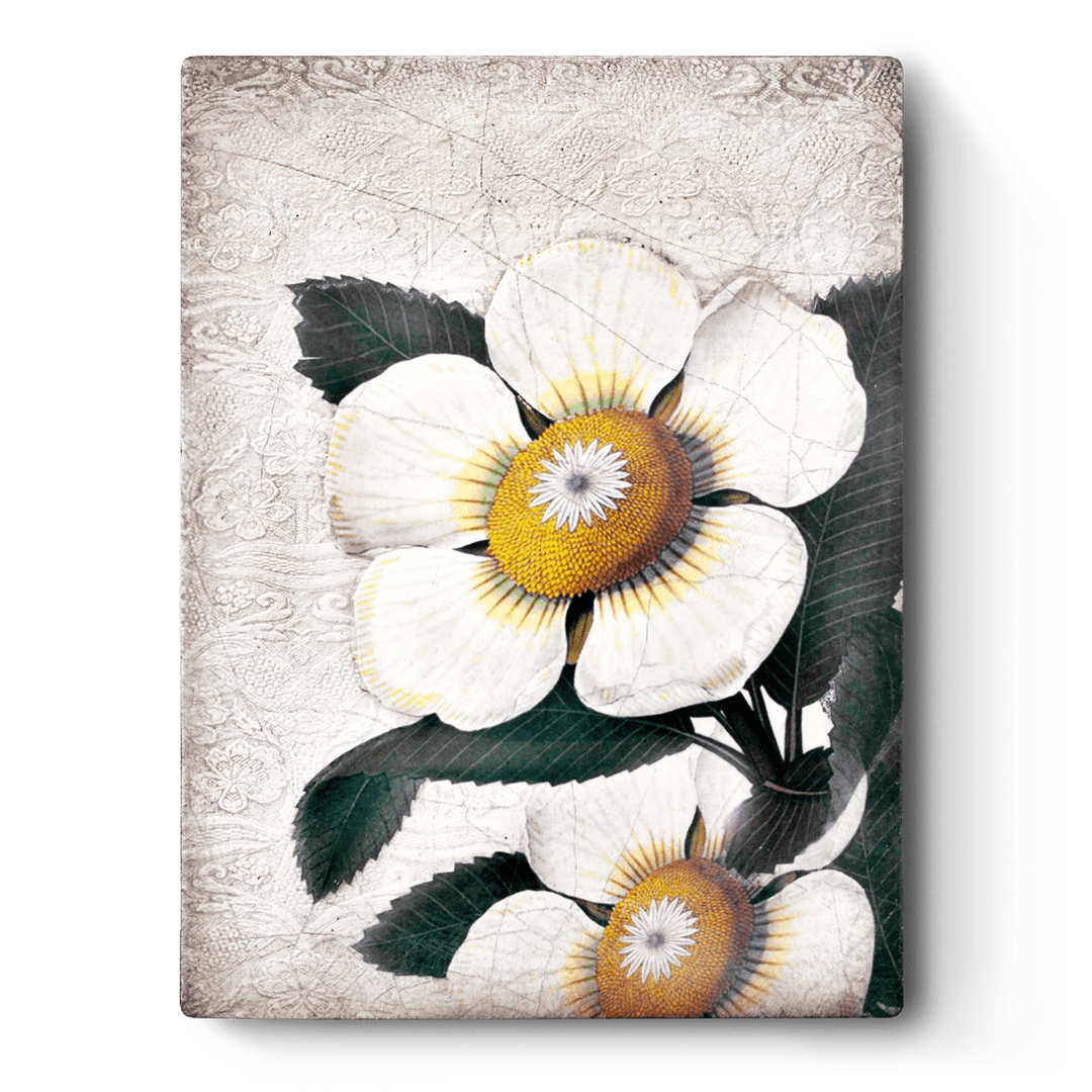 T 487 White Blossoms - RETIRED Sid Dickens Memory Block