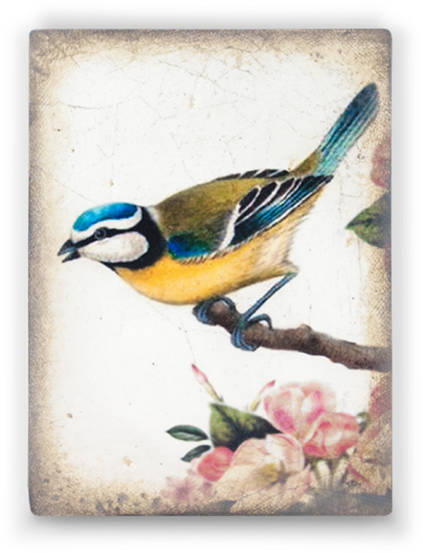 T 367 Songbird - RETIRED Sid Dickens Memory Block
