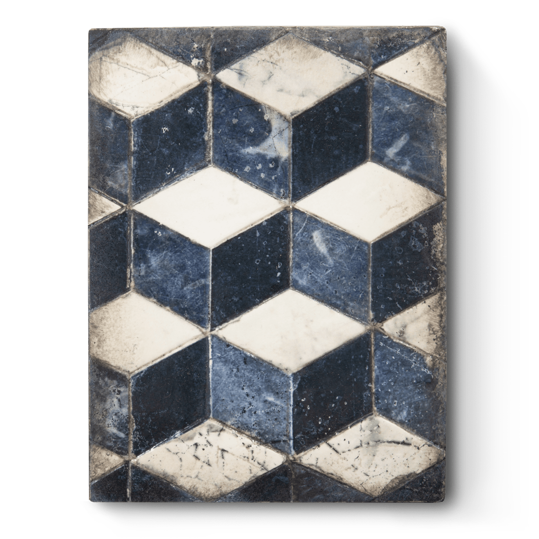 T 428 Myriad - RETIRED Sid Dickens Memory Block