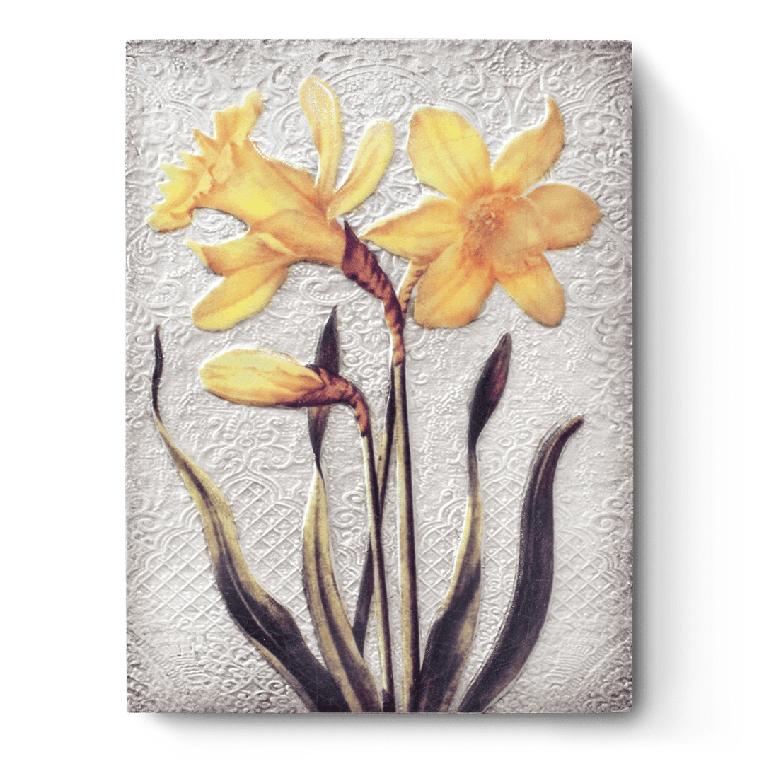 T 510 Daffodils Retired Sid Dickens Memory Block