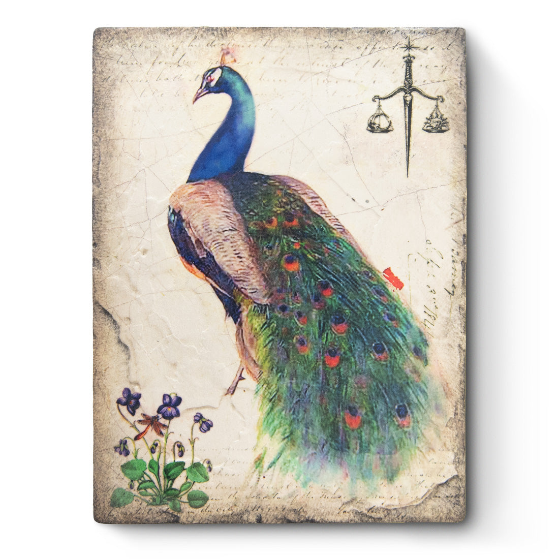 T597 Peacock Sid Dickens Memory Block front 2023 Paradise Collection