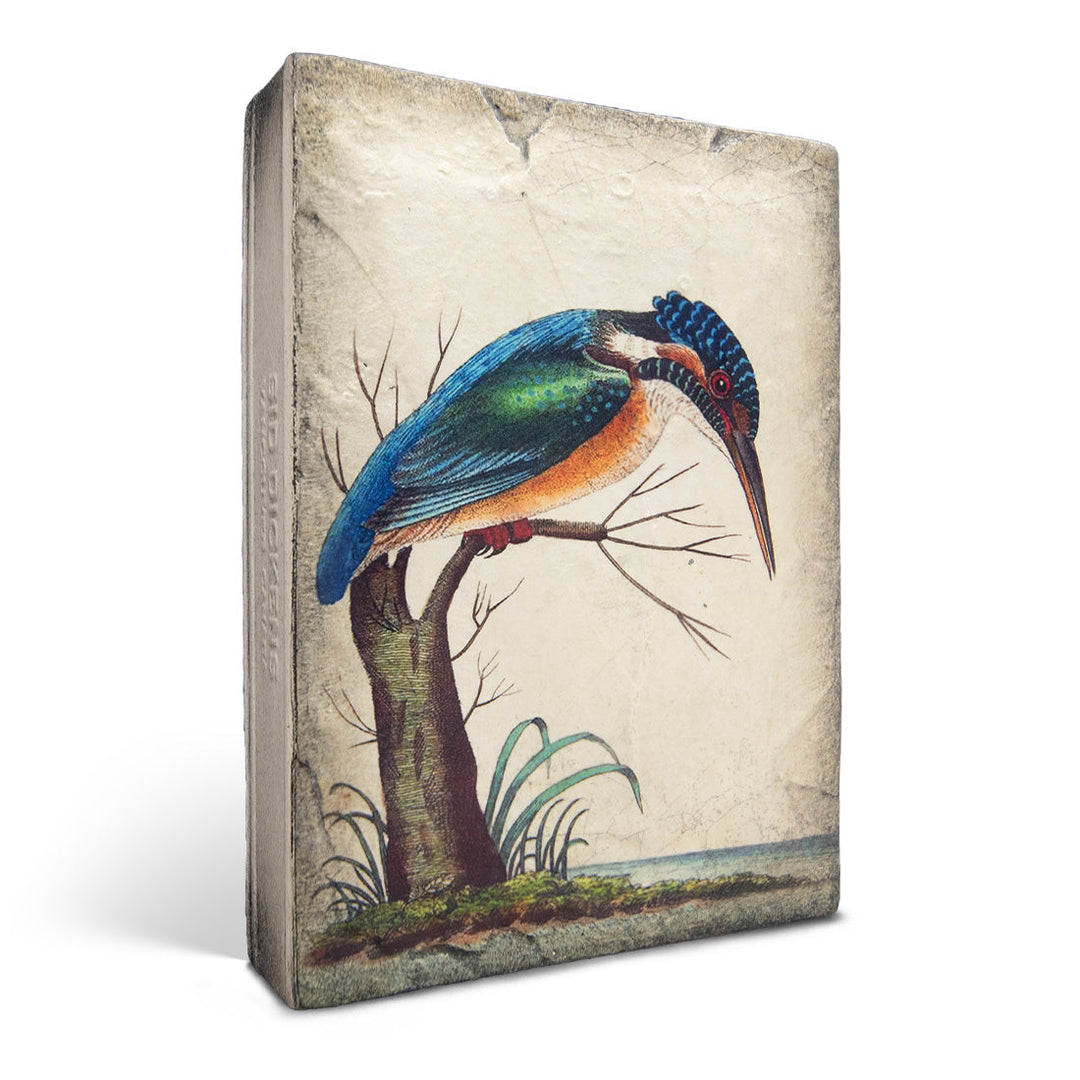 T599 Kingfisher Sid Dickens Memory Block side 2023 Paradise Collection