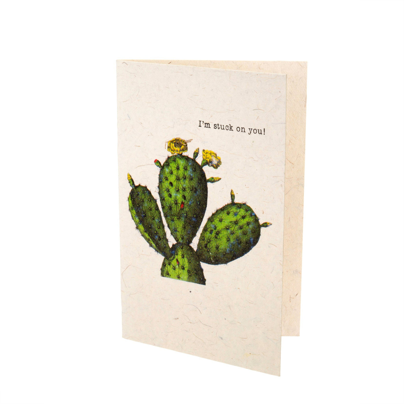 Stuck on You  - Quirky Card
