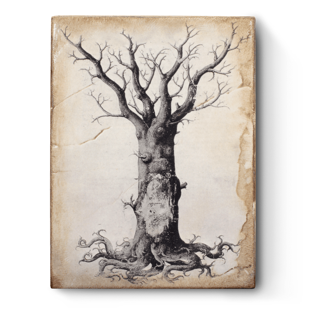 T 125 Medieval Tree of Life SIGNED Sid Dickens Memory Block