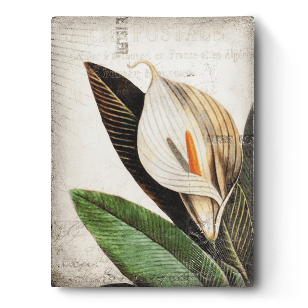 T 452 Calla Lilly - RETIRED Sid Dickens Memory Block